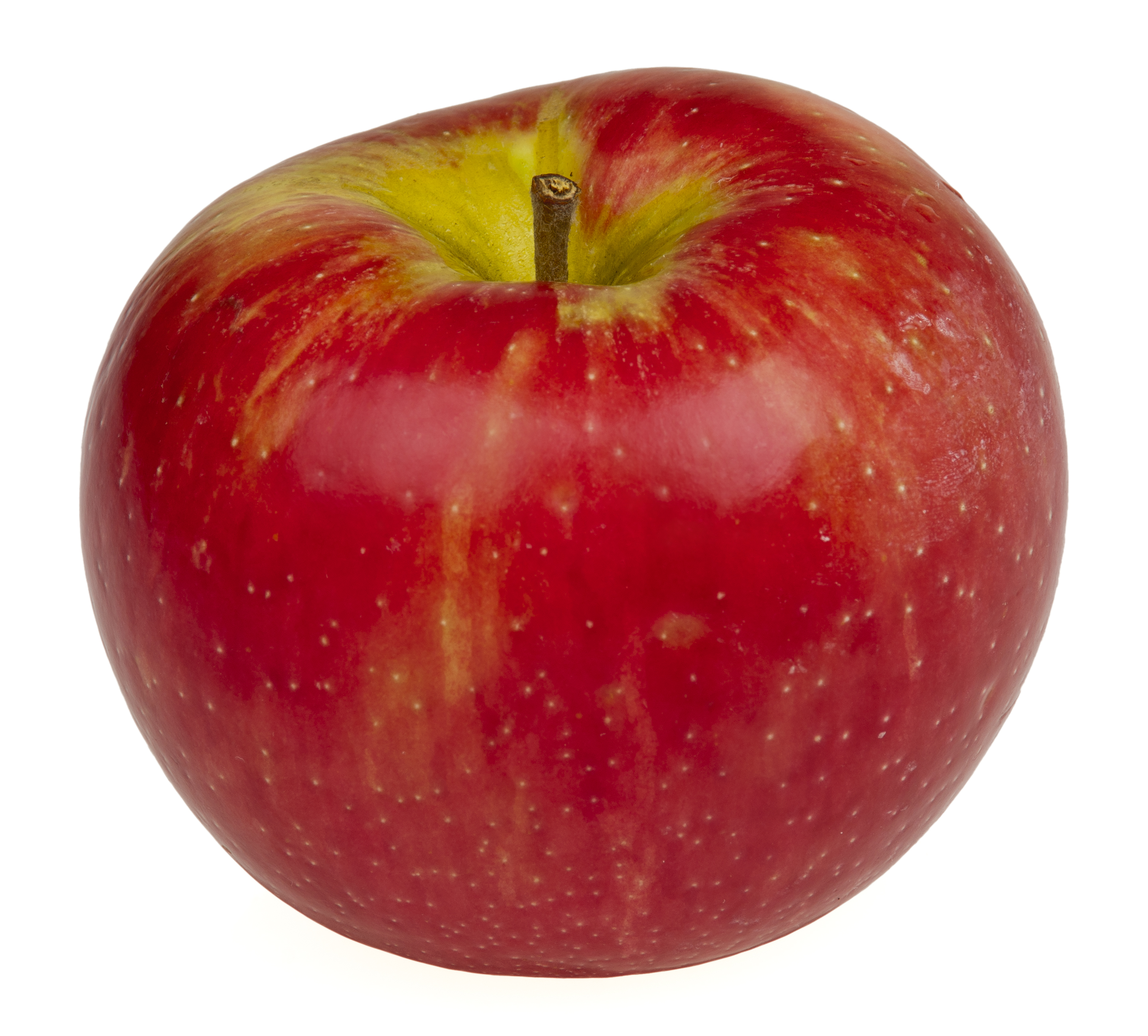 Honeycrisp Apple