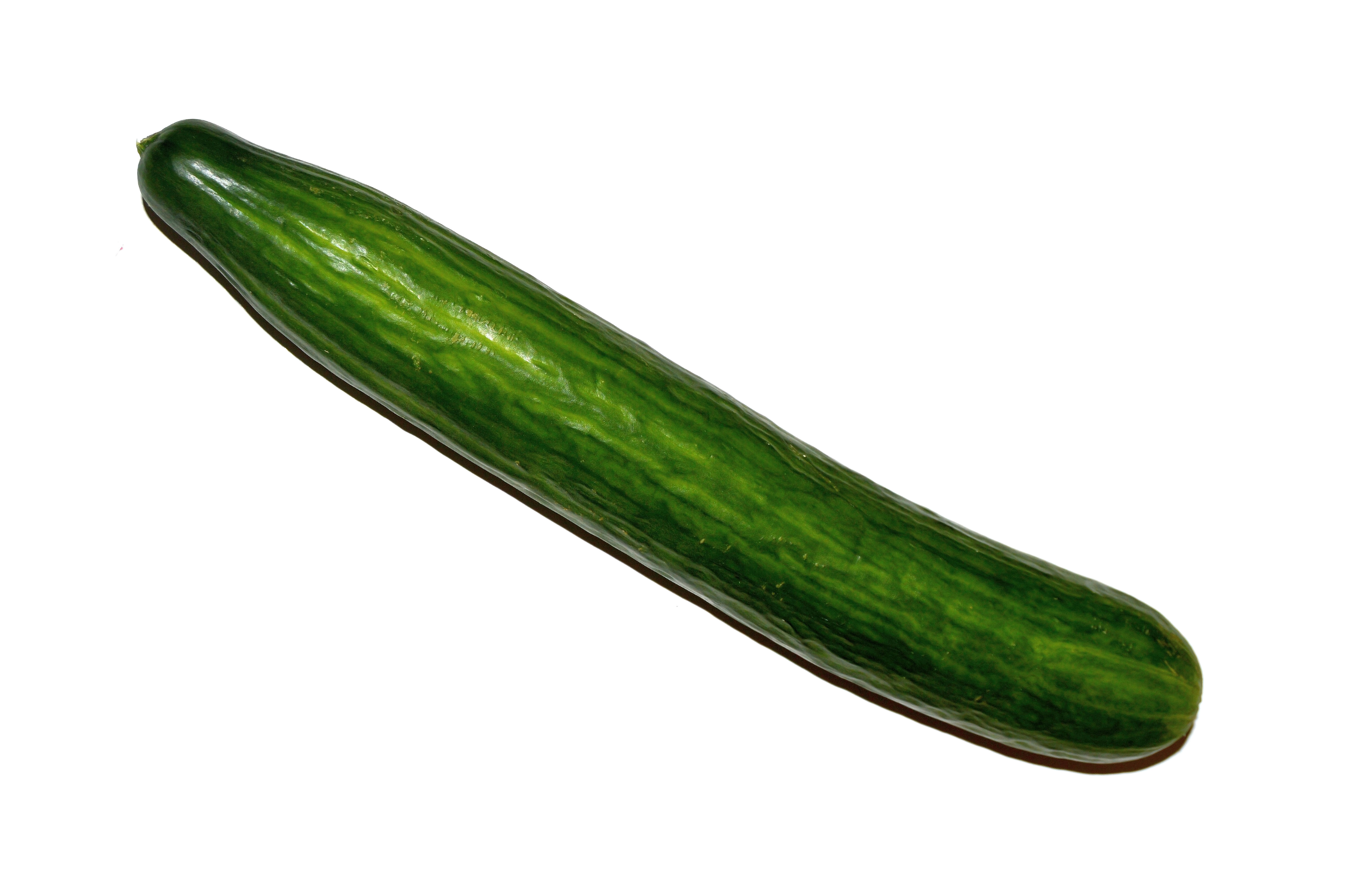 Cucumber
