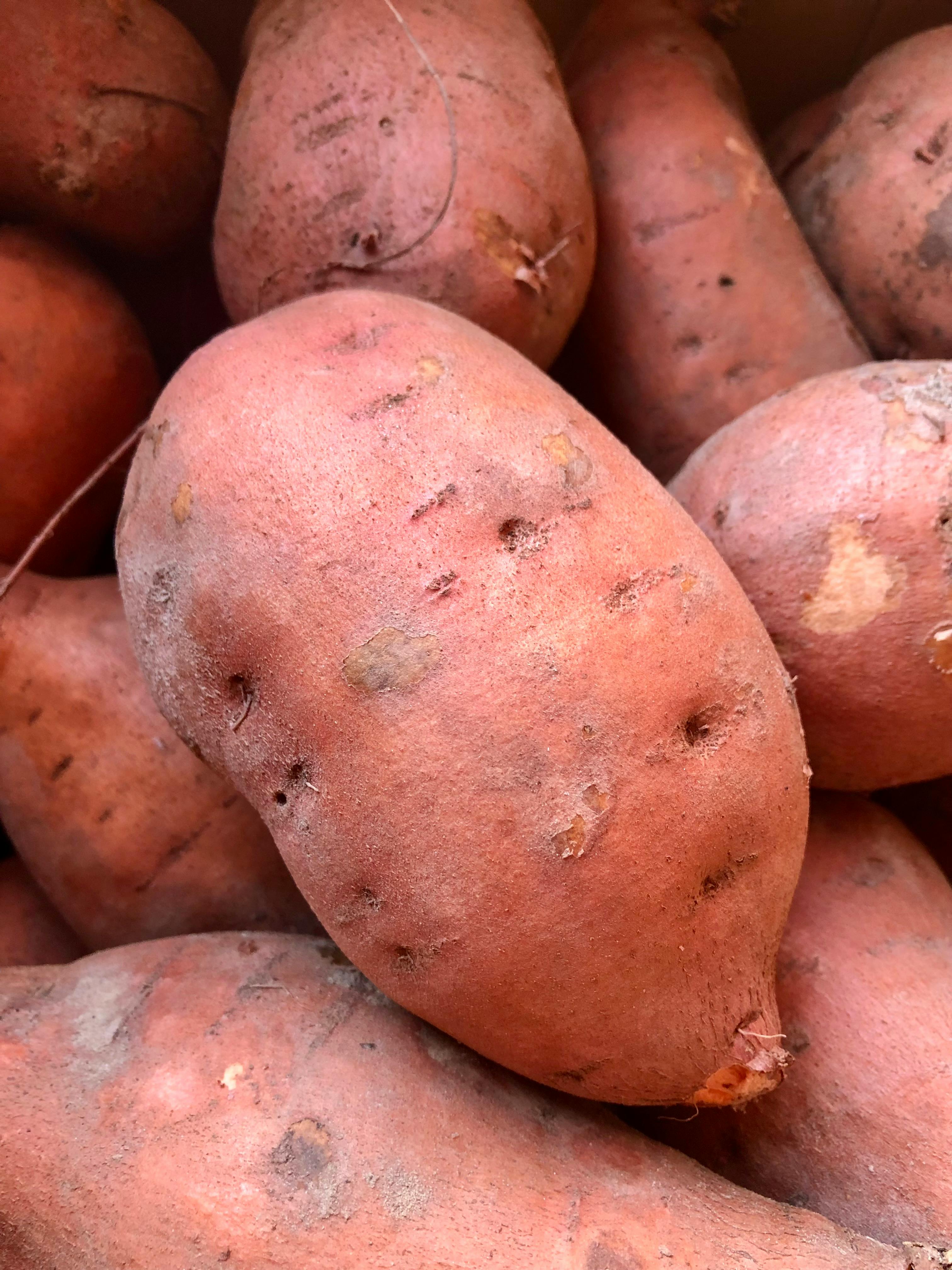 Sweet Potato